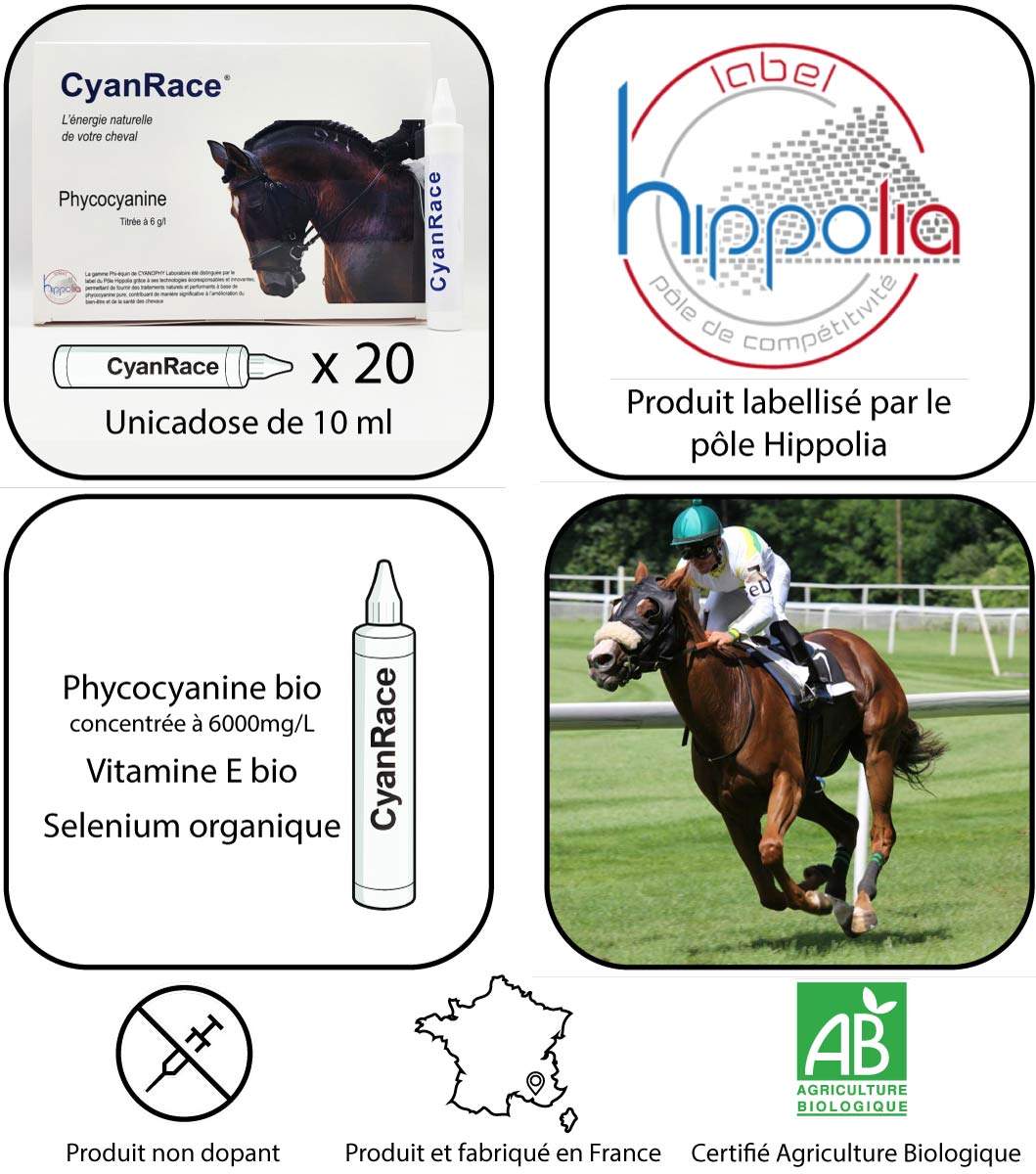 CyanRace® – Cure de phycocyanine titrée à 6000 mg/l -Vitamine E - Sélénium