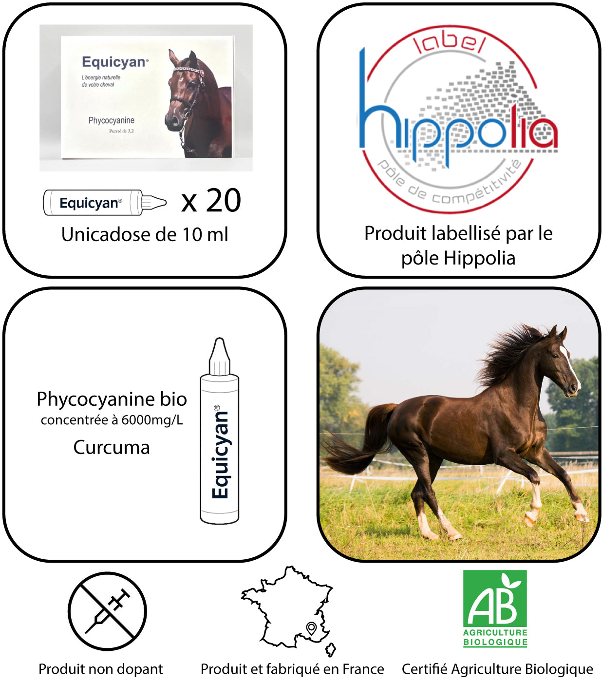 EquiCyan® – Cure de phycocyanine titrée à 6000 mg/l – Curcuma