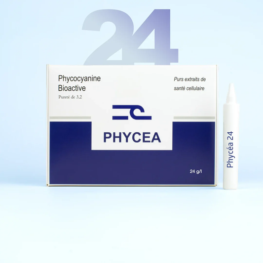 PHYCEA 24