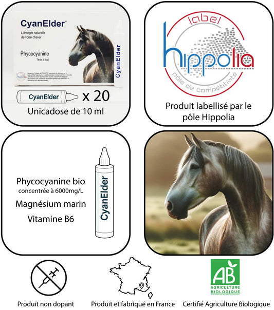 CyanElder® – Cure de phycocyanine titrée à 3000 mg/l – Magnésium marin – Vitamine B6