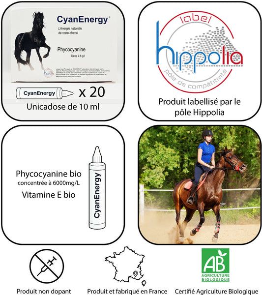 CyanEnergy® – Cure de phycocyanine titrée à 6000 mg/l – Vitamine E