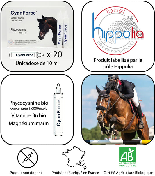 CyanForce® – Cure de phycocyanine titrée à 6000 mg/l –Magnésium marin – Vitamine B6